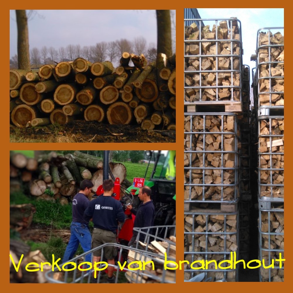 tuinmannen Temse | Brandhout, boomwerken & tuinonderhoud Van Meervenne