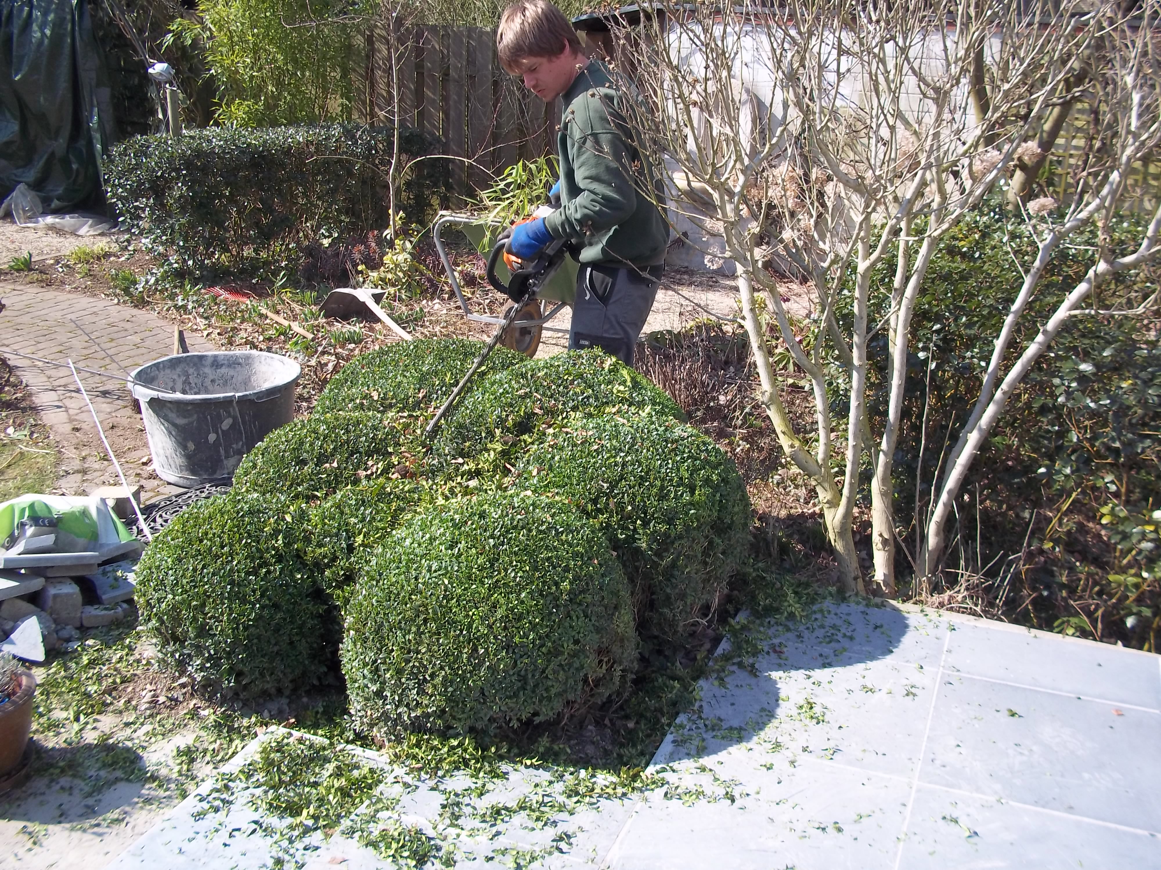 tuinmannen Hamme (O.-Vl.) | Advance Greencare