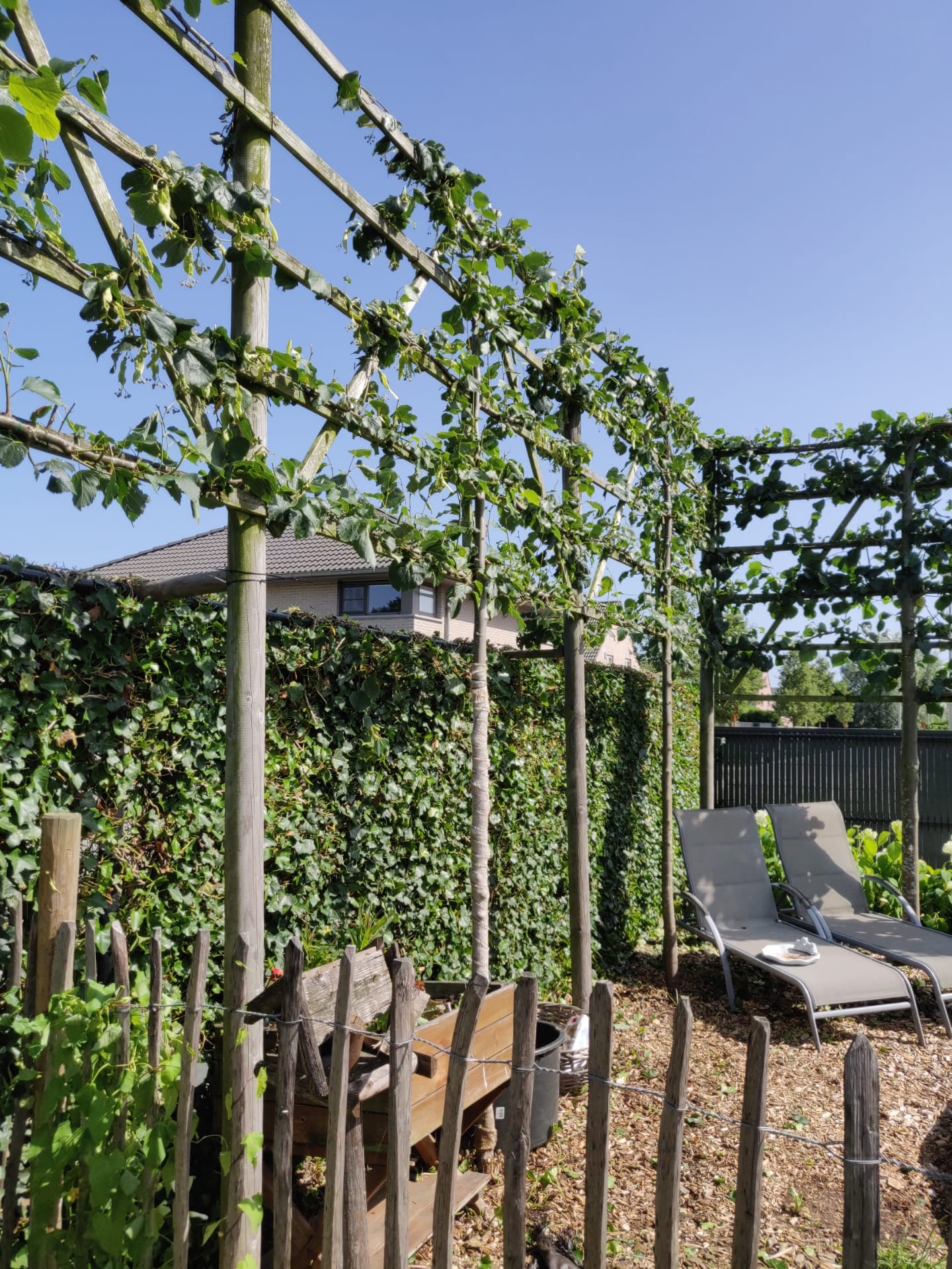 tuinmannen Meerdonk | Blommaert Tuinen VOF