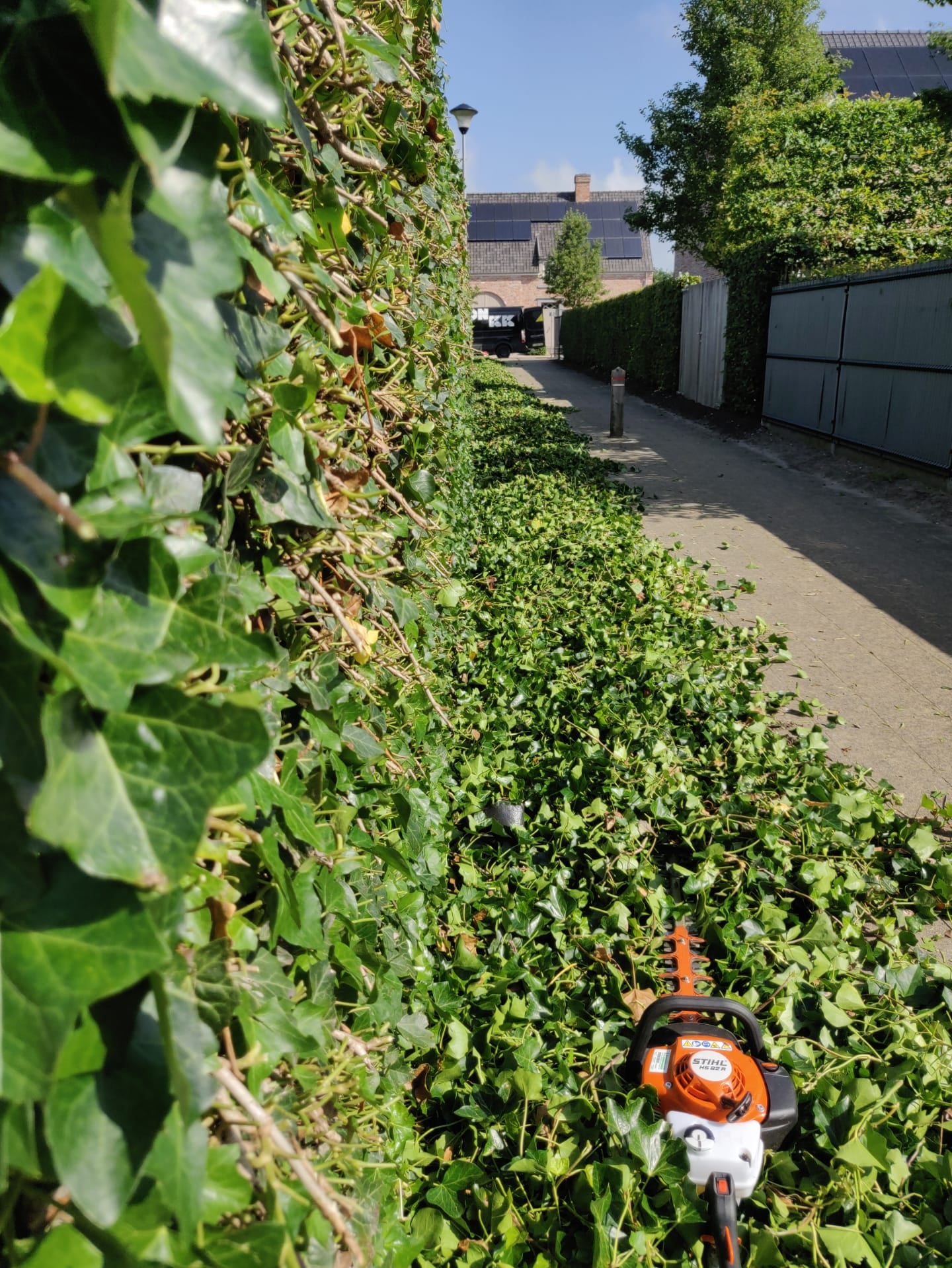 tuinmannen Meerdonk | Blommaert Tuinen VOF