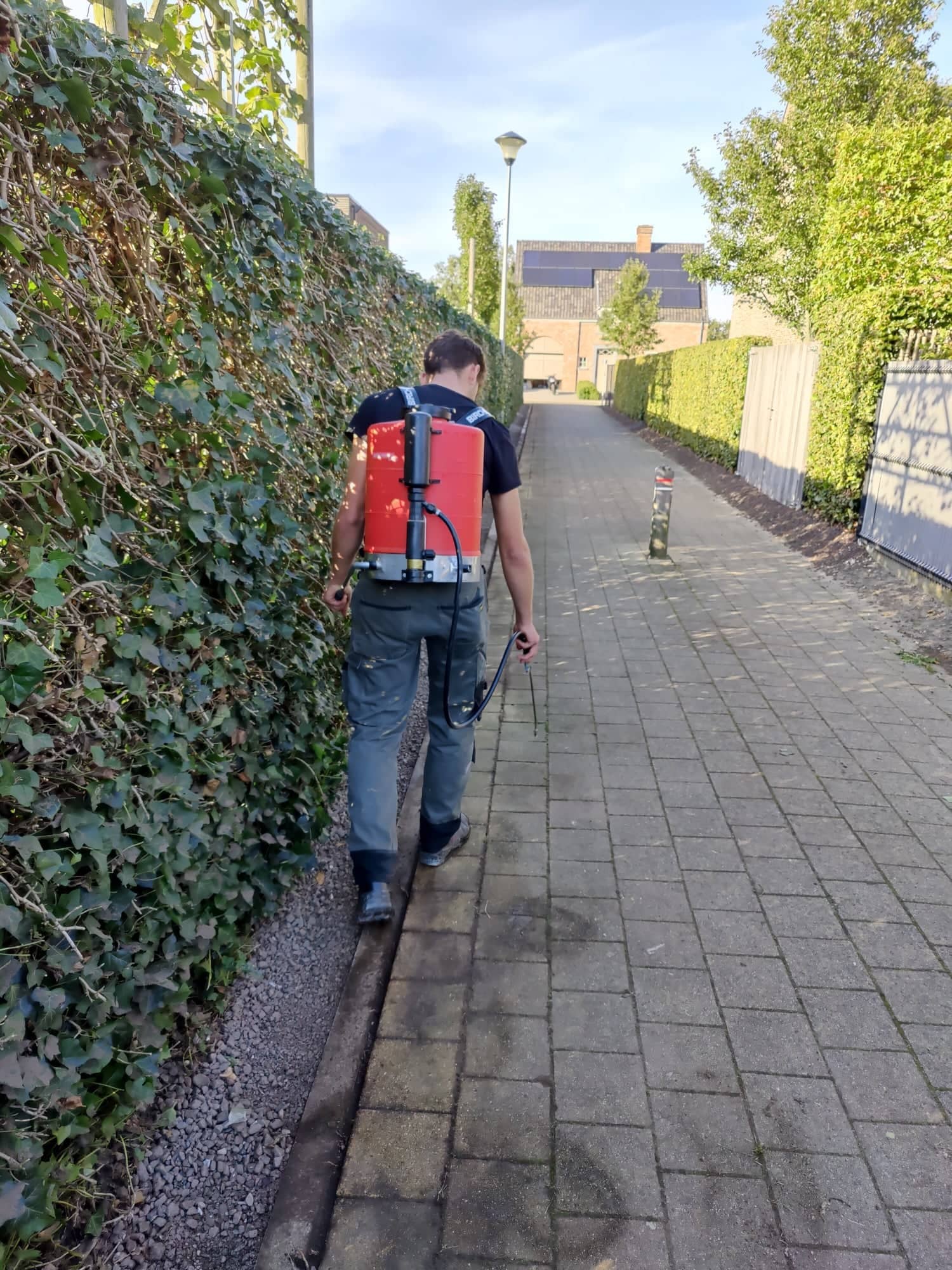 tuinmannen Meerdonk | Blommaert Tuinen VOF