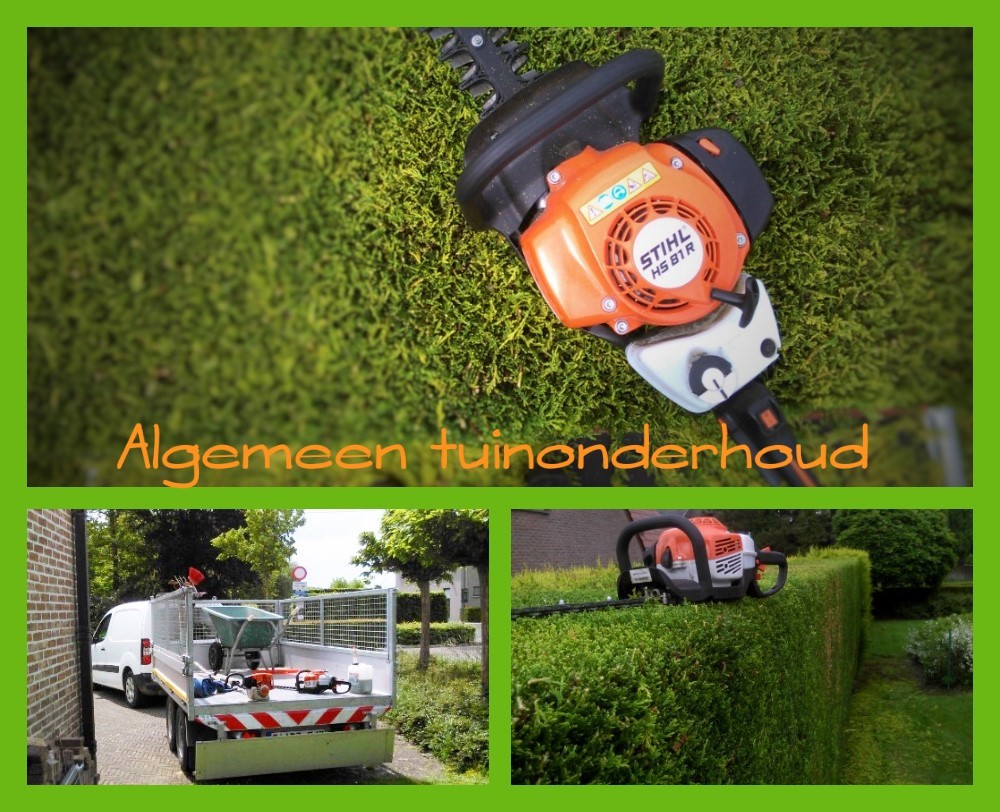 tuinmannen Temse Brandhout, boomwerken & tuinonderhoud Van Meervenne