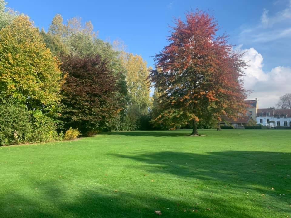 tuinmannen Lint DVT tuinonderhoud