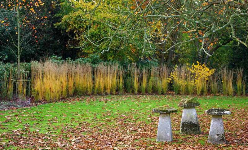 tuinmannen Otegem | Vandewalle Wim Tuinaanleg